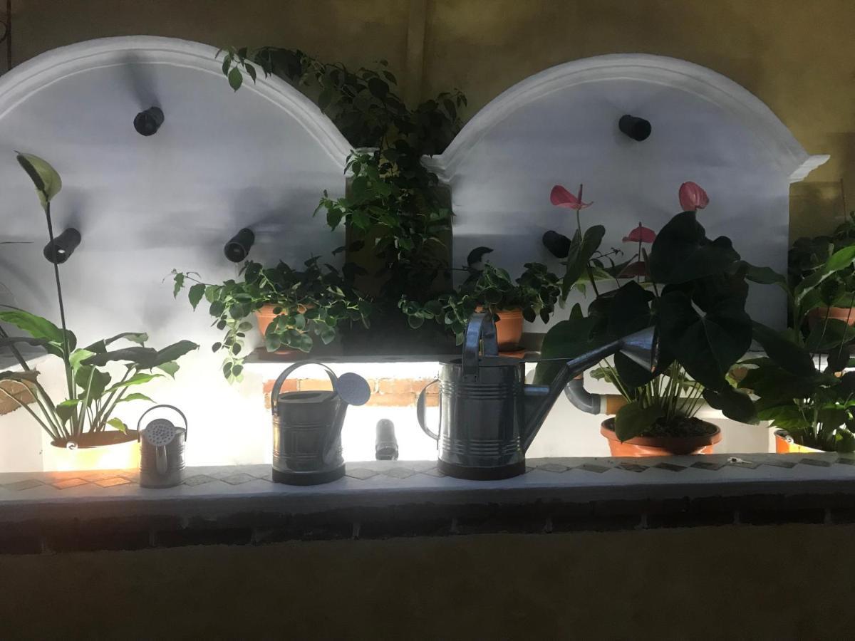 Hotel Boutique Casa Jose Cobán Kültér fotó